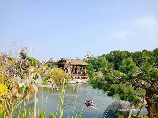 45064113_2040599942672335_6526354586121273344_n