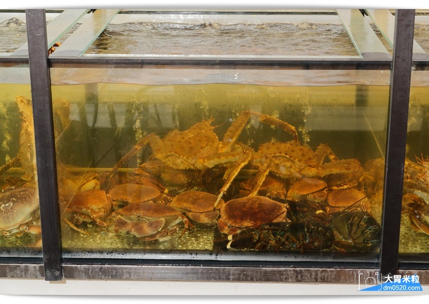 內湖人的秘密海鮮餐廳,Seafood & Meat 波波海鮮市集,代客料理輕鬆免下廚,聖誕大餐輕鬆在家吃牛排啖龍蝦,2018聖誕大餐推薦,內湖海鮮肉品專賣店推薦, - 大胃米粒 DAVID &