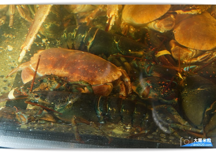 內湖人的秘密海鮮餐廳,Seafood & Meat 波波海鮮市集,代客料理輕鬆免下廚,聖誕大餐輕鬆在家吃牛排啖龍蝦,2018聖誕大餐推薦,內湖海鮮肉品專賣店推薦, - 大胃米粒 DAVID &