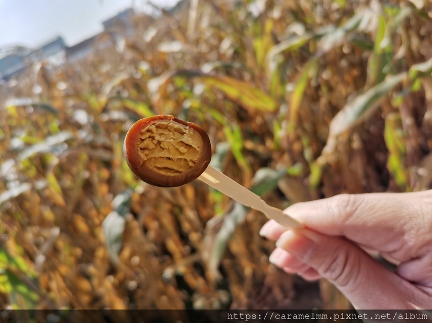 IMG_20210215_144716.jpg IMG_20210215_144716.jpg