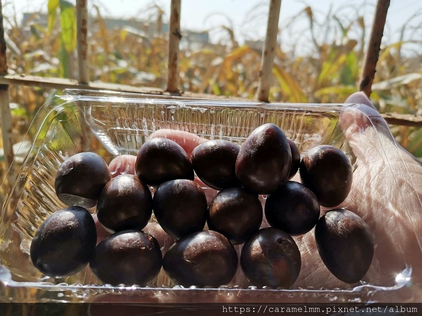 IMG_20210215_144508.jpg IMG_20210215_144508.jpg