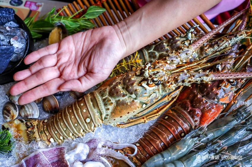 新竹市北區【全台連鎖火鍋】養鍋 Yang Guo 石頭涮涮鍋新竹市府店,鮮魚火鍋必吃推薦