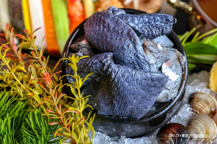 新竹市北區【全台連鎖火鍋】養鍋 Yang Guo 石頭涮涮鍋新竹市府店,鮮魚火鍋必吃推薦