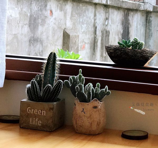 肉窩咖啡 zoo woo