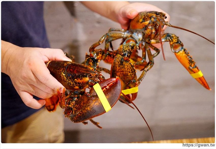 六月龍蝦價格大崩盤！台中最便宜的雙龍套餐，吃一次現賺三百