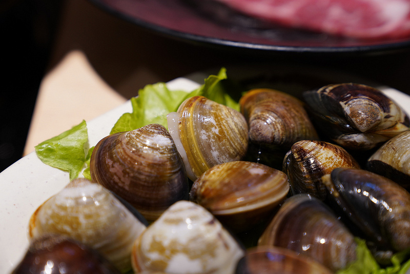 大盤子涮涮鍋 (31)