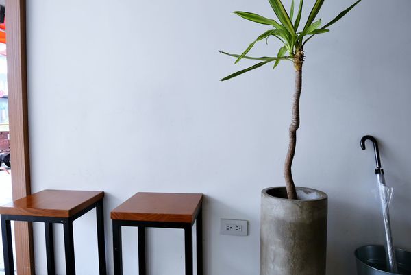 P1710554.JPG P1710554.JPG