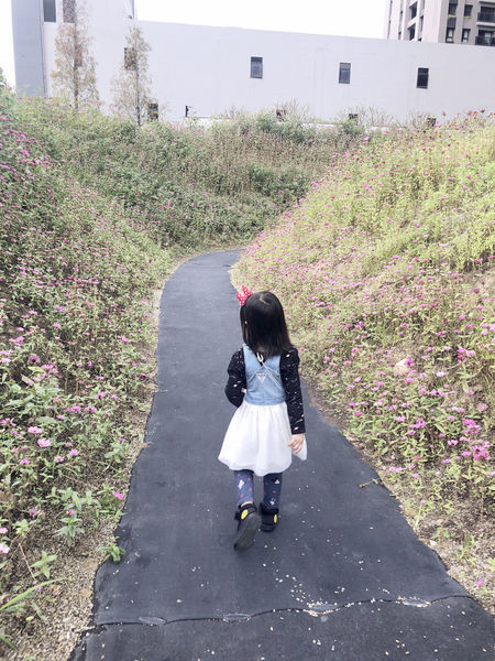 IMG_8129.jpg IMG_8129.jpg