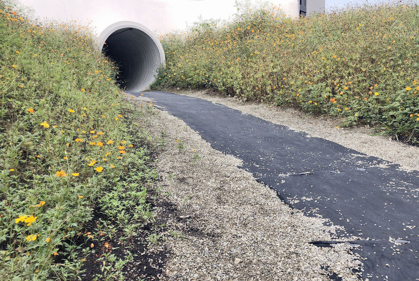 IMG_8144.jpg IMG_8144.jpg