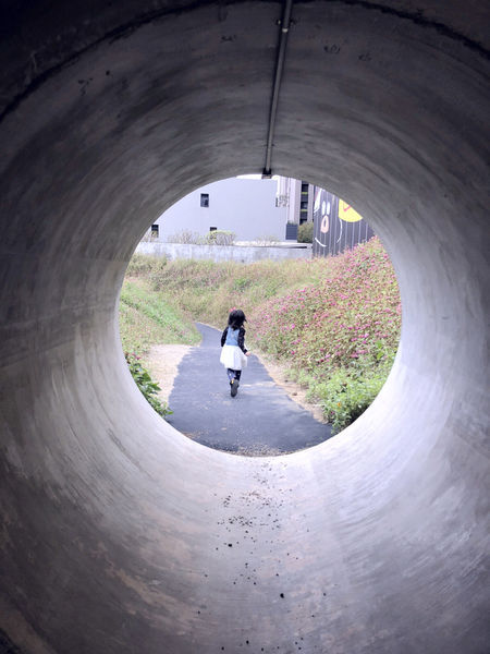 IMG_8150.jpg IMG_8150.jpg