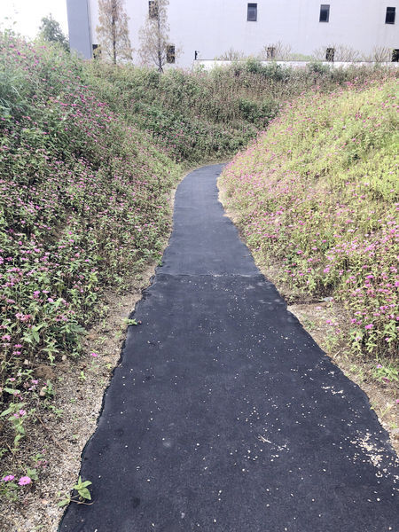 IMG_8127.jpg IMG_8127.jpg