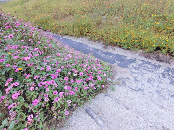 CIMG4777.jpg CIMG4777.jpg