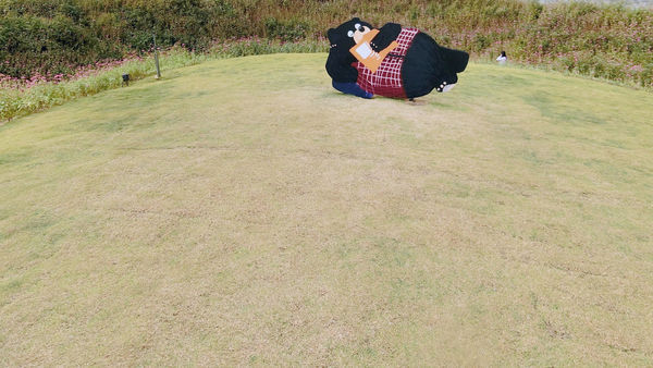 CIMG4762.JPG CIMG4762.JPG