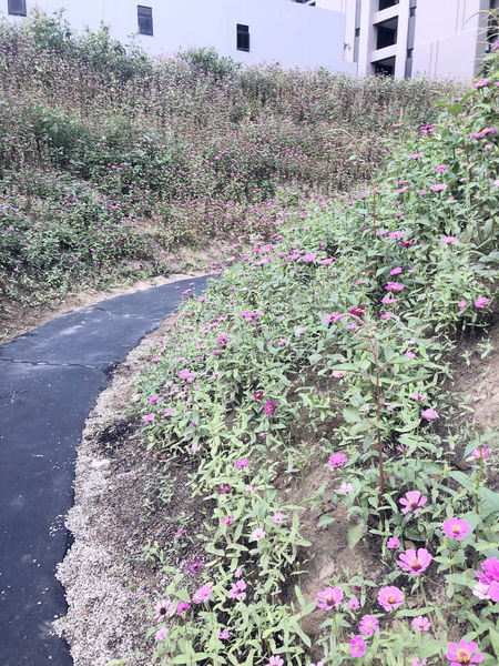 IMG_8132.jpg IMG_8132.jpg