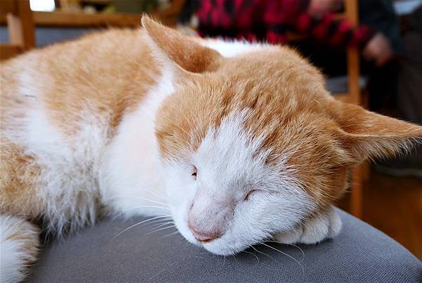 P1890558.JPG P1890558.JPG