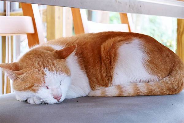 P1890545.JPG P1890545.JPG