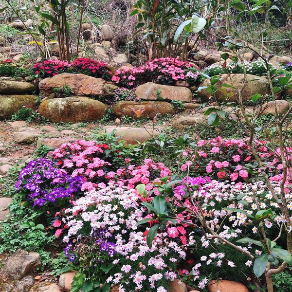 20190228_145117-5634684.jpeg 20190228_145117-5634684.jpeg