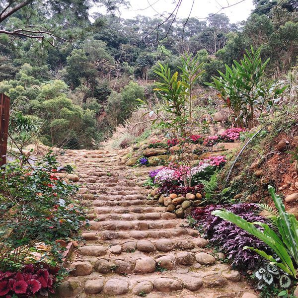 20190228_144604-5791002.jpeg 20190228_144604-5791002.jpeg