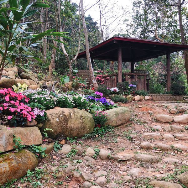 20190228_145223-5196355.jpeg 20190228_145223-5196355.jpeg