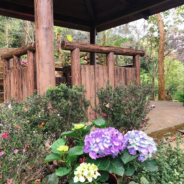 20190228_145305-4376260.jpeg 20190228_145305-4376260.jpeg