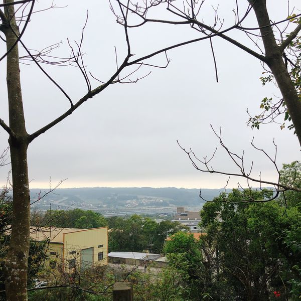 20190228_154536-2573919.jpeg 20190228_154536-2573919.jpeg