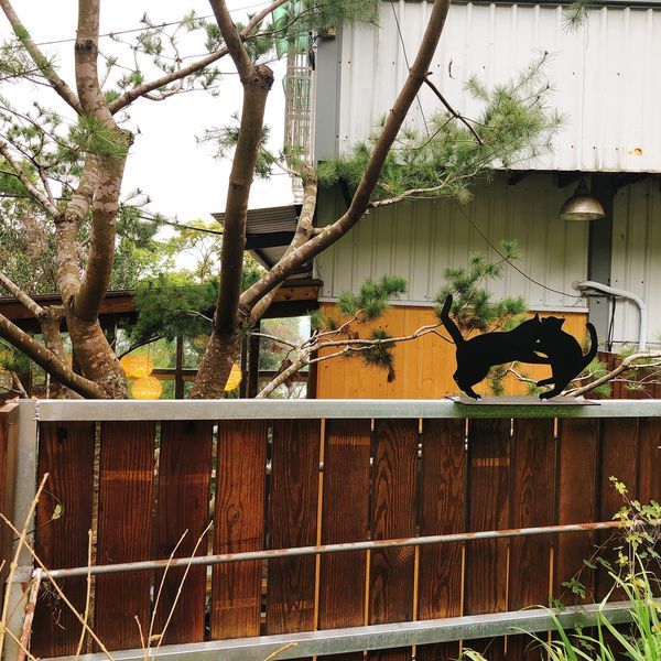 20190228_151414-3503623.jpeg 20190228_151414-3503623.jpeg