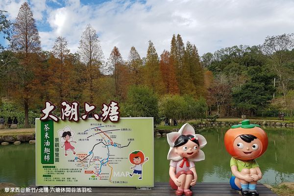 【新竹/北埔】六塘休閒谷落羽松