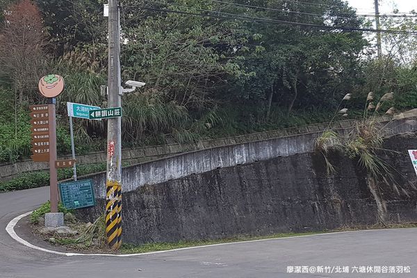 【新竹/北埔】六塘休閒谷落羽松