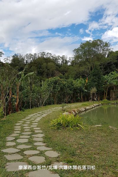 【新竹/北埔】六塘休閒谷落羽松