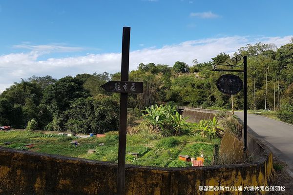 【新竹/北埔】六塘休閒谷落羽松
