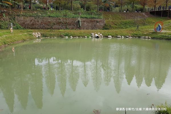 【新竹/北埔】六塘休閒谷落羽松