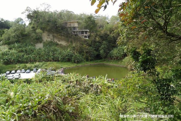 【新竹/北埔】六塘休閒谷落羽松