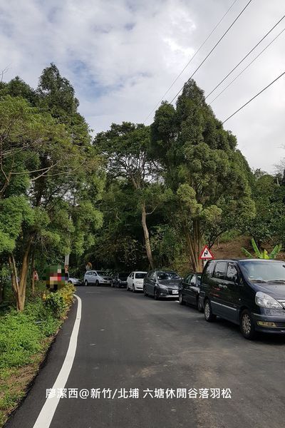 【新竹/北埔】六塘休閒谷落羽松