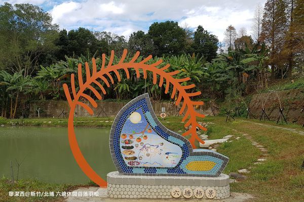 【新竹/北埔】六塘休閒谷落羽松