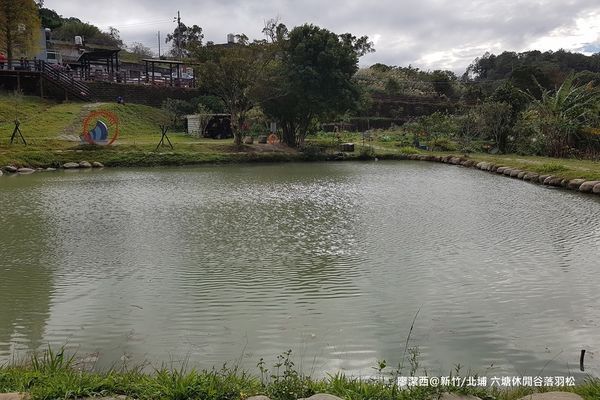 【新竹/北埔】六塘休閒谷落羽松