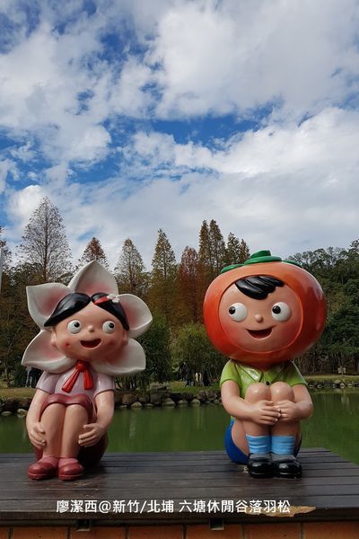 【新竹/北埔】六塘休閒谷落羽松