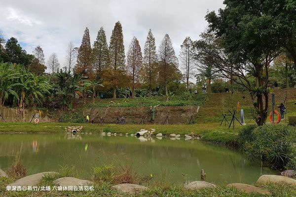 【新竹/北埔】六塘休閒谷落羽松