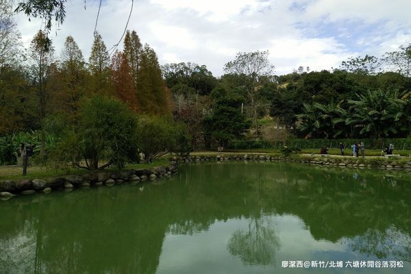 【新竹/北埔】六塘休閒谷落羽松