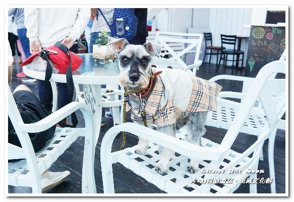 秀233畫室．魚藏文化館：漁人碼頭新景點．重拾藝術熱情，揮灑自我創作──秀233畫室．魚藏文化館