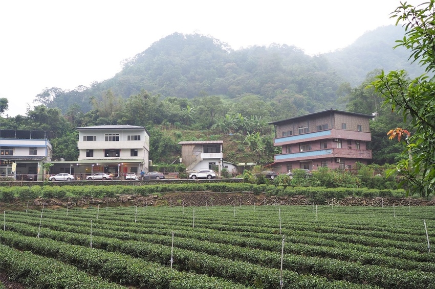 PA103687.JPG