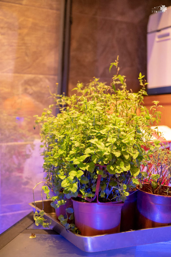 台北酒吧推薦》轉角酒吧La Esquina - 中山區超人氣BAR 華麗調酒微醺之樂 - 時空幻境 凌雲江海清