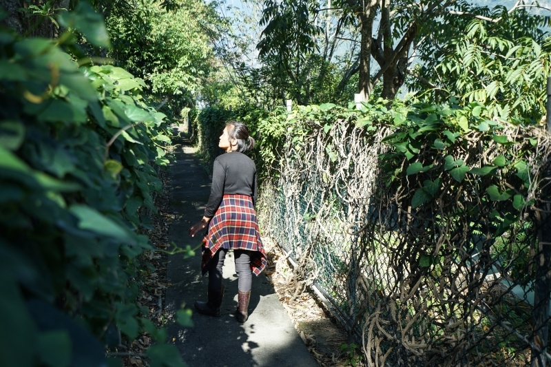 跳躍的宅男 - [花蓮旅遊景點推薦] 蝴蝶翩翩起舞超美麗 台灣最大蝴蝶生態館 花蓮免費景點 三大園區二個主題館 預約專人導覽 親子旅遊可安排在太魯閣一日遊 -亞泥生態園區