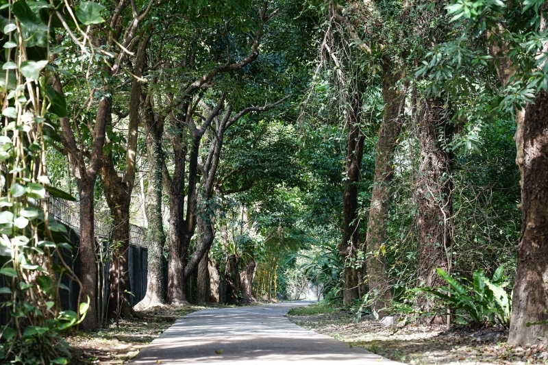 跳躍的宅男 - [花蓮旅遊景點推薦] 蝴蝶翩翩起舞超美麗 台灣最大蝴蝶生態館 花蓮免費景點 三大園區二個主題館 預約專人導覽 親子旅遊可安排在太魯閣一日遊 -亞泥生態園區