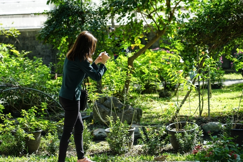 跳躍的宅男 - [花蓮旅遊景點推薦] 蝴蝶翩翩起舞超美麗 台灣最大蝴蝶生態館 花蓮免費景點 三大園區二個主題館 預約專人導覽 親子旅遊可安排在太魯閣一日遊 -亞泥生態園區