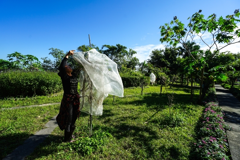 跳躍的宅男 - [花蓮旅遊景點推薦] 蝴蝶翩翩起舞超美麗 台灣最大蝴蝶生態館 花蓮免費景點 三大園區二個主題館 預約專人導覽 親子旅遊可安排在太魯閣一日遊 -亞泥生態園區
