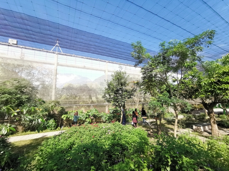 跳躍的宅男 - [花蓮旅遊景點推薦] 蝴蝶翩翩起舞超美麗 台灣最大蝴蝶生態館 花蓮免費景點 三大園區二個主題館 預約專人導覽 親子旅遊可安排在太魯閣一日遊 -亞泥生態園區