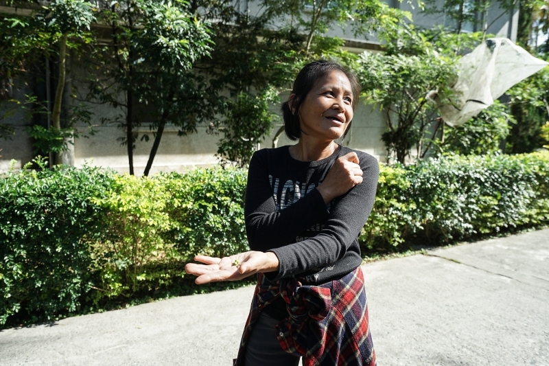 跳躍的宅男 - [花蓮旅遊景點推薦] 蝴蝶翩翩起舞超美麗 台灣最大蝴蝶生態館 花蓮免費景點 三大園區二個主題館 預約專人導覽 親子旅遊可安排在太魯閣一日遊 -亞泥生態園區