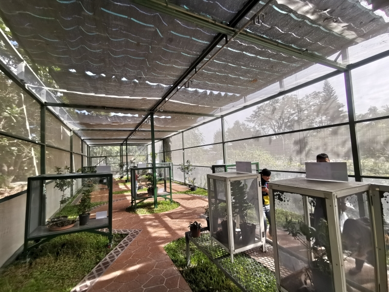 跳躍的宅男 - [花蓮旅遊景點推薦] 蝴蝶翩翩起舞超美麗 台灣最大蝴蝶生態館 花蓮免費景點 三大園區二個主題館 預約專人導覽 親子旅遊可安排在太魯閣一日遊 -亞泥生態園區