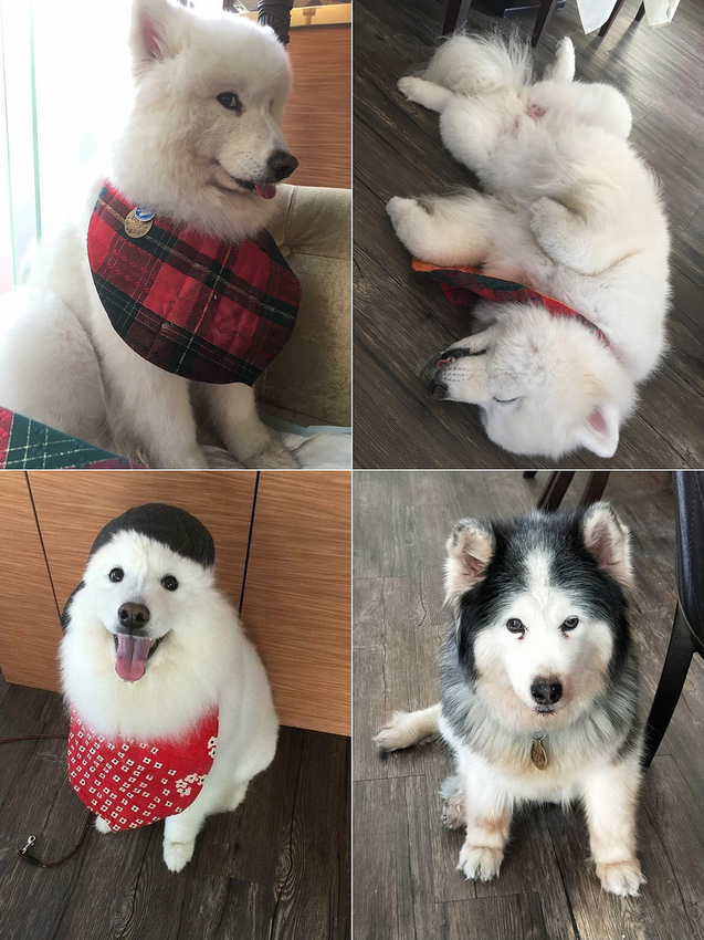 49848586_534632767049470_7750086288824336384_n-tile