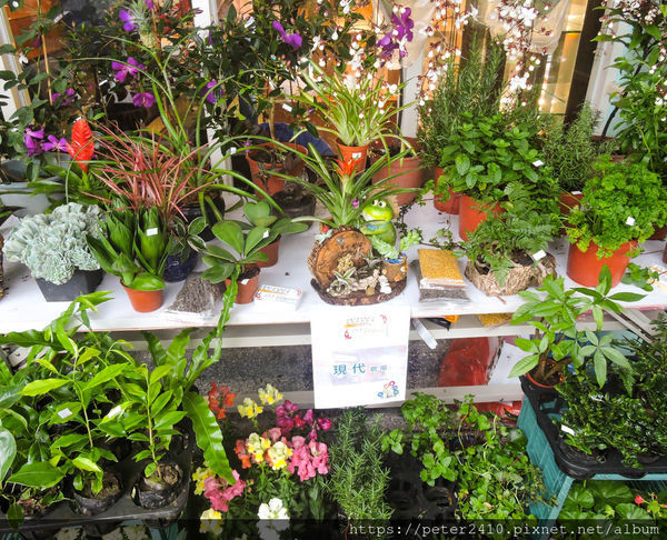 七堵瑪陵遊客中心 (31).jpg